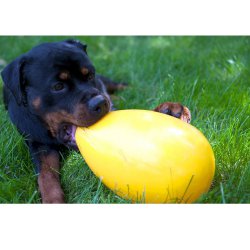 KERBL žaislas dinozauras 47cm