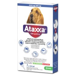 Ataxxa lašai prieš erkes šunims 25-40kg. 1 pipetė