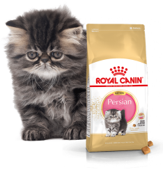 Royal Canin Persian Kitten 2 kg.