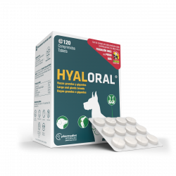 HYALORAL Razas Grandes Y Gigantes 120 tab.