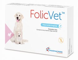FolicVet – folinė rūgštis – šunims ir katėms N15