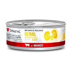 DISUGUAL konservas katėms  renal su jautiena 85g