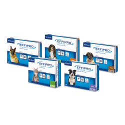 Virbac EFFIPRO  šunims 20-40kg. 4 vnt. pakuotėje