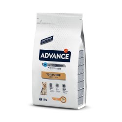 Šunų maistas Advance Yorkshire Terrier 1,5kg